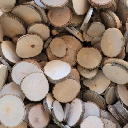 rodelas.madera maderas nativa