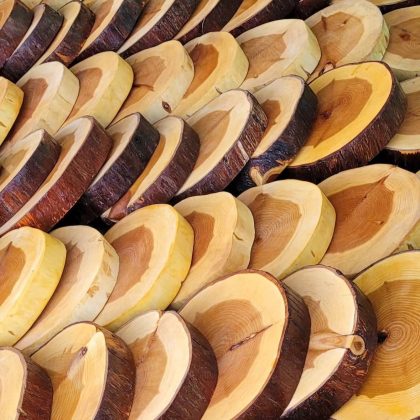 Rodelas pulidas y barnizadas